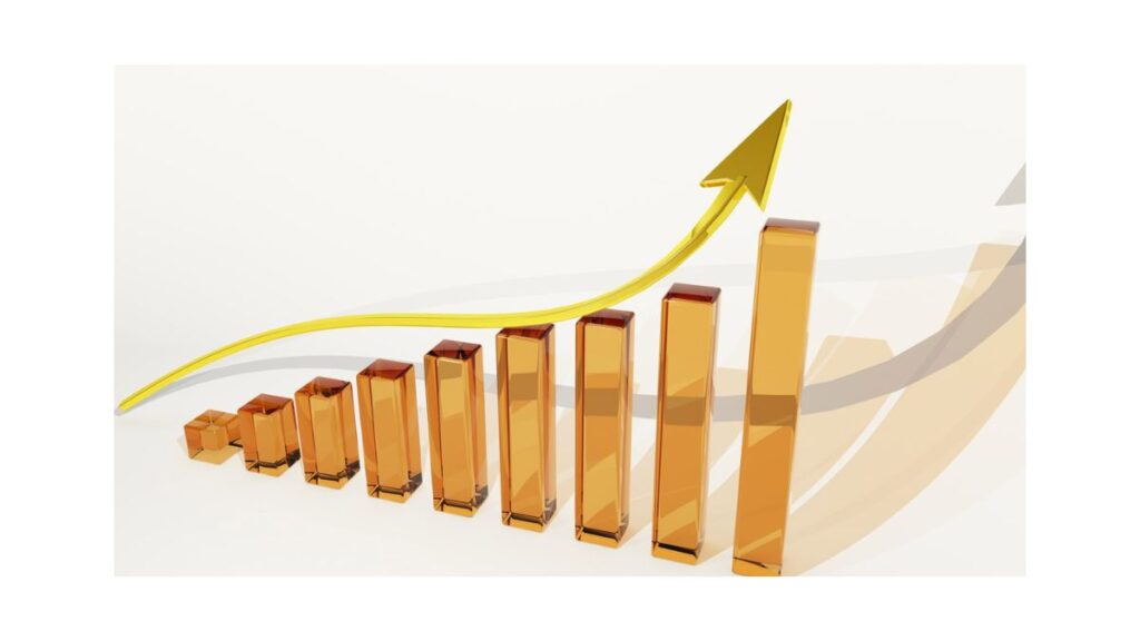 dividend stock or growth stock 