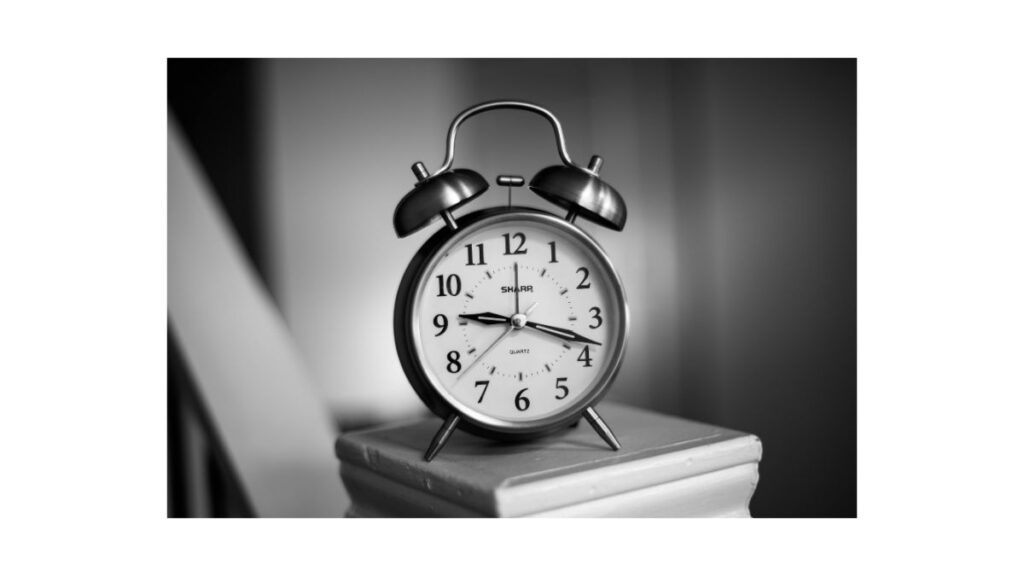 dividend stock or growth stock 