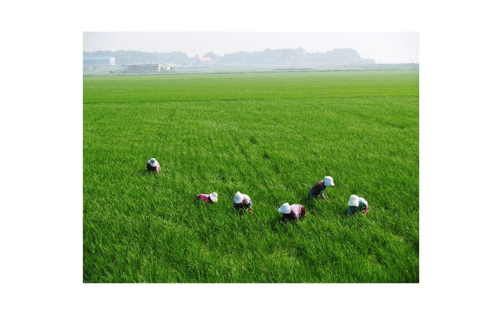 Kisan saman Nidhi Yojna latest update 2025 2 Kisan saman Nidhi Yojna